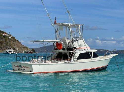 Bertram 31 technische daten